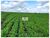 Fazenda, 5000 m² - Foto 4