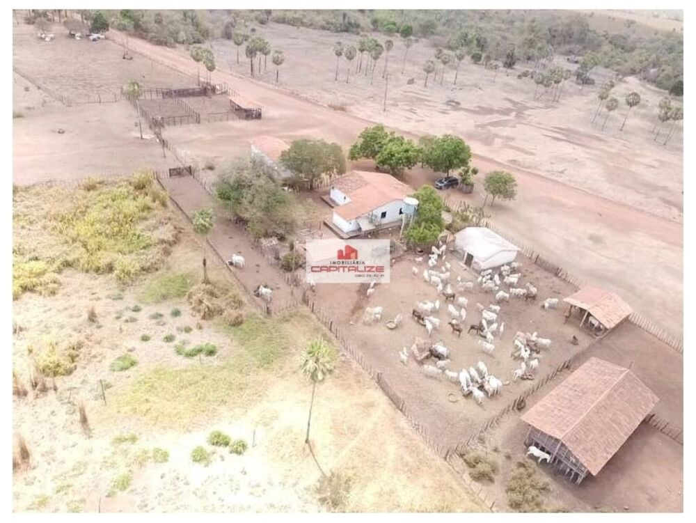 Fazenda à venda, 4300m² - Foto 4
