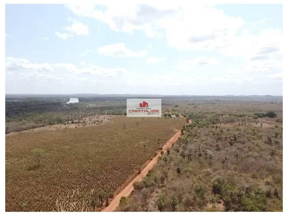 Fazenda à venda, 4300m² - Foto 3