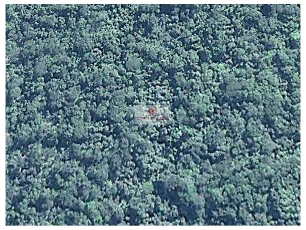 Fazenda, 5 hectares - Foto 2