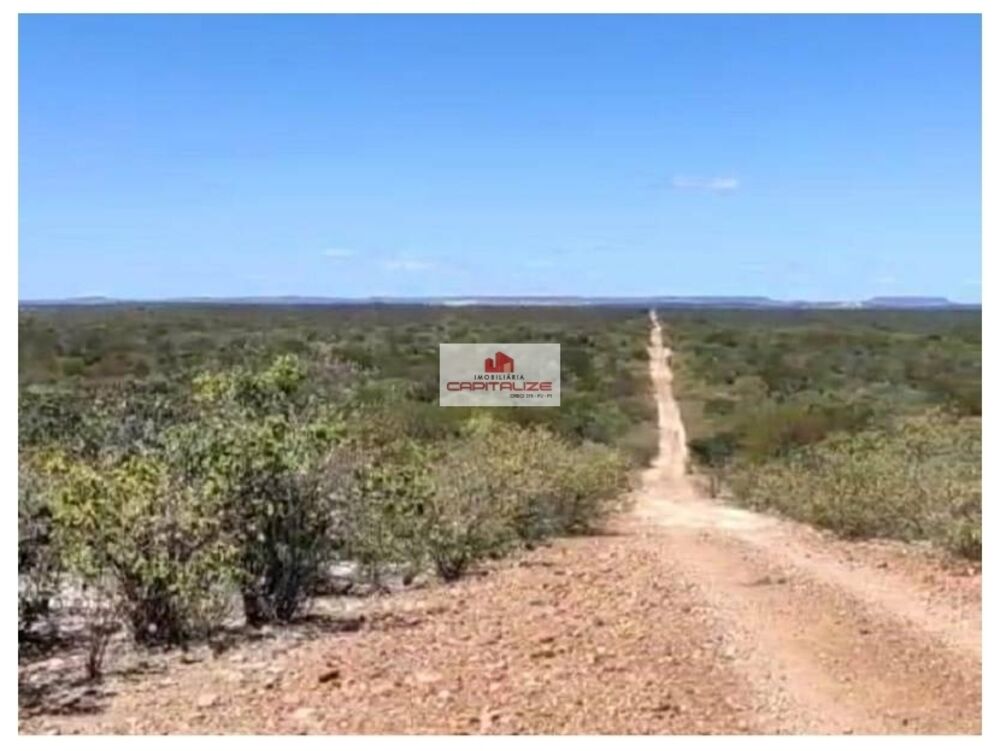 Fazenda à venda, 438000m² - Foto 3