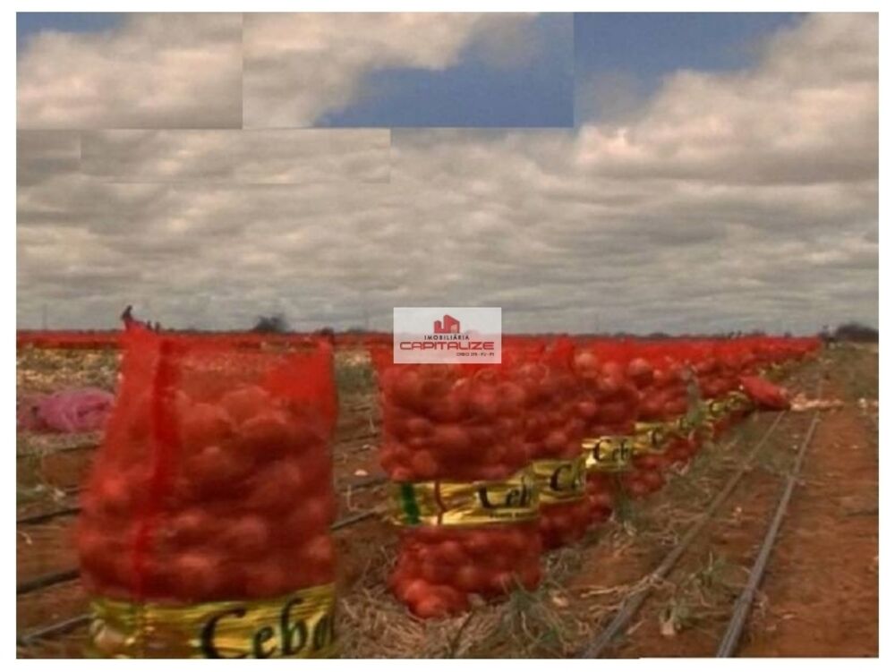 Fazenda à venda, 438000m² - Foto 2