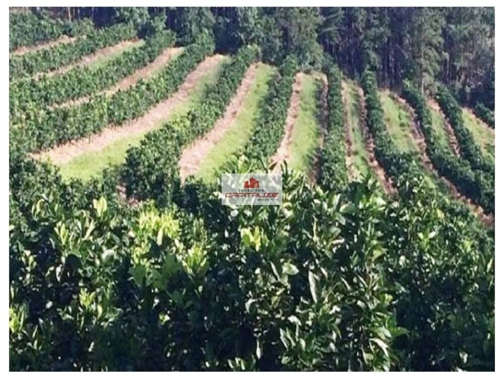 Fazenda à venda, 438000m² - Foto 5