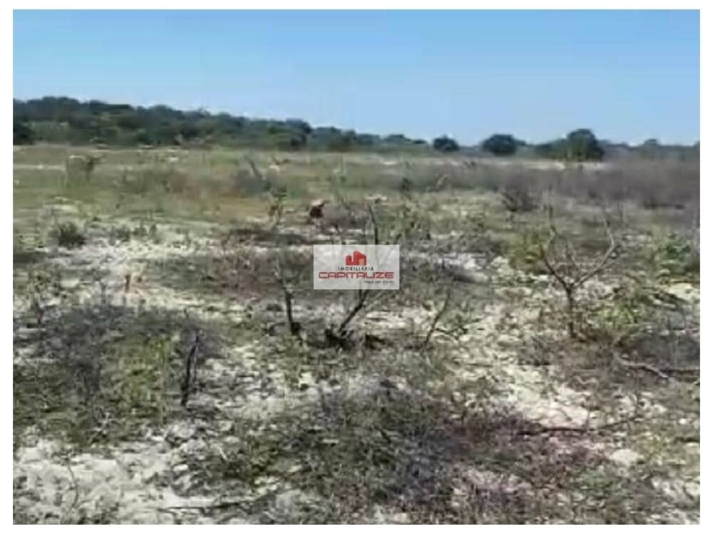 Fazenda à venda, 438000m² - Foto 8