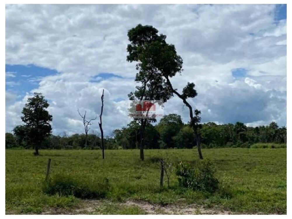 Fazenda, 3970 m² - Foto 4