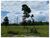 Fazenda-Sítio-Chácara, 3970 m² - Foto 4