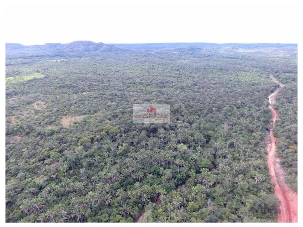 Fazenda à venda, 9000m² - Foto 2