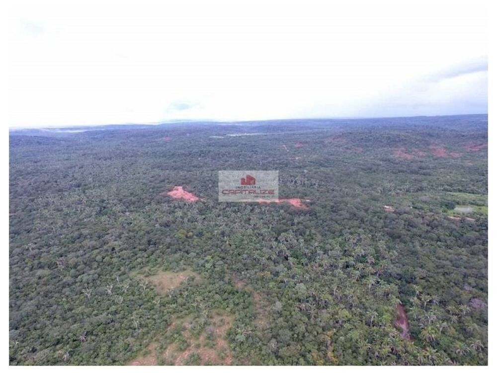 Fazenda à venda, 9000m² - Foto 1