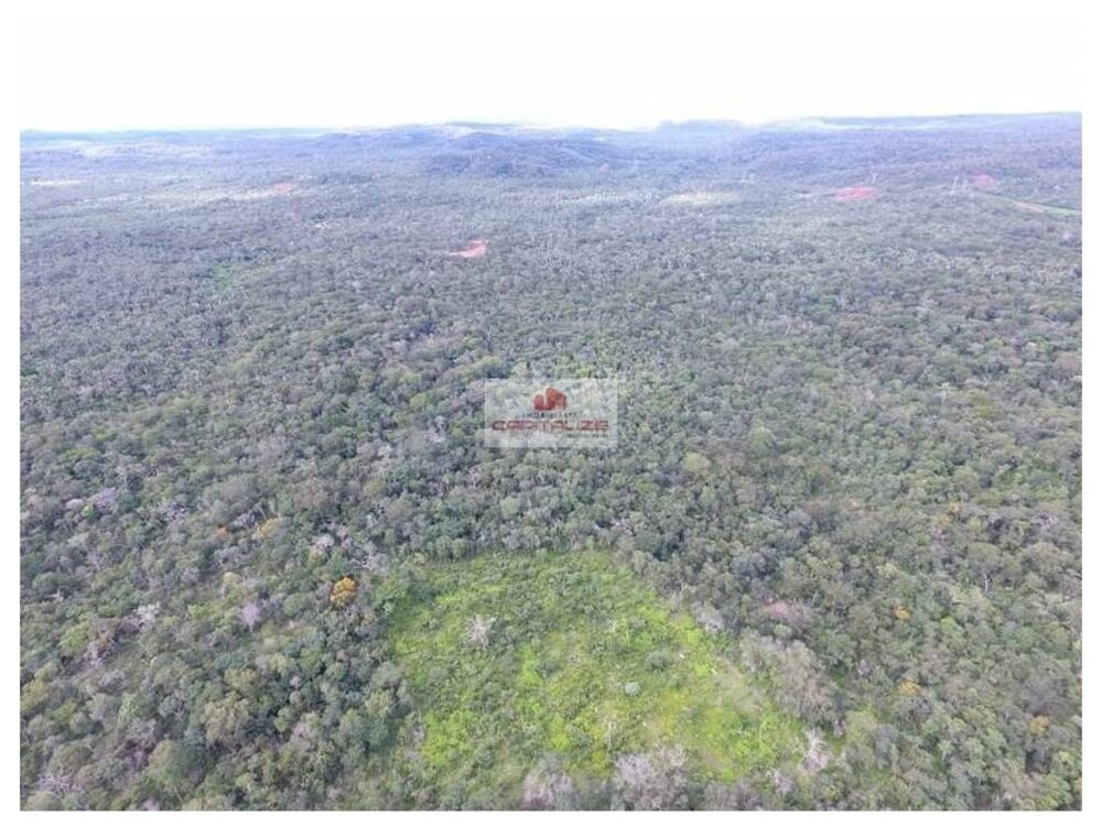 Fazenda à venda, 9000m² - Foto 3