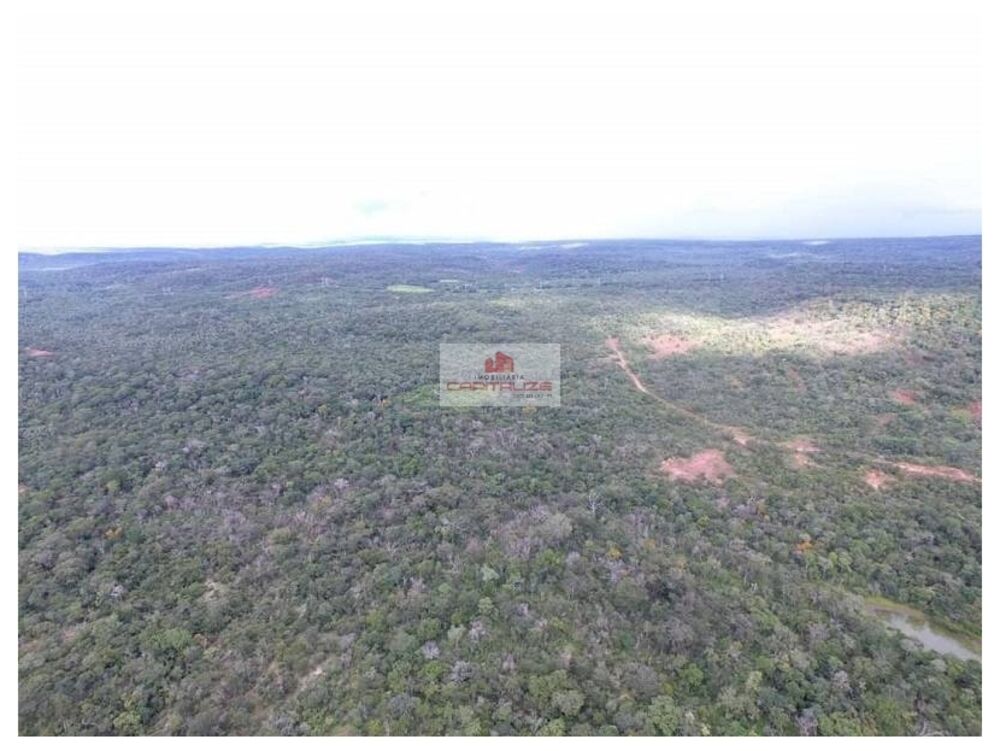 Fazenda à venda, 9000m² - Foto 4