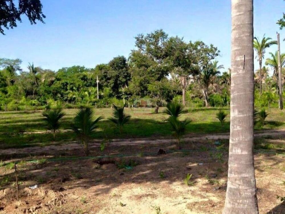 Casa, 3 quartos, 36 m² - Foto 2