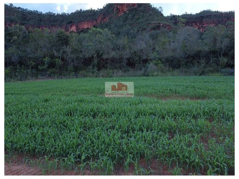 Fazenda, 1 hectares - Foto 1