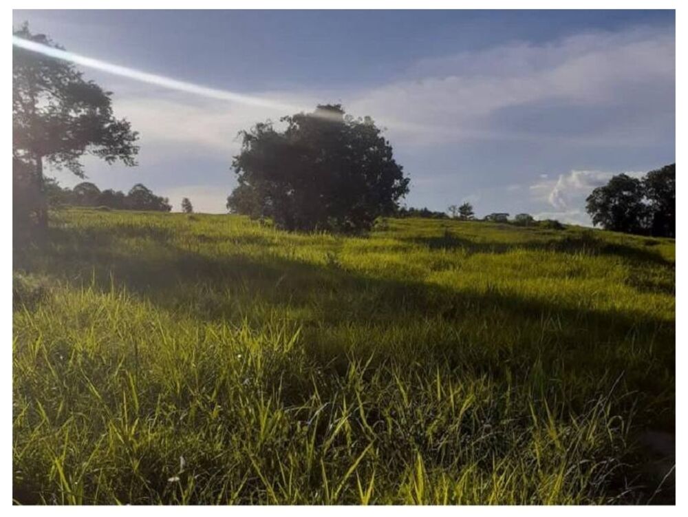 Fazenda, 5300 m² - Foto 2