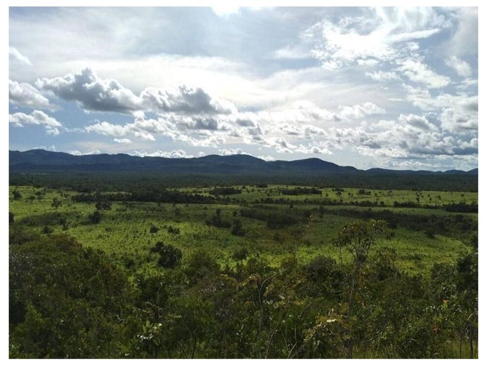 Fazenda, 5300 m² - Foto 7