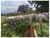 Fazenda, 5300 m² - Foto 1