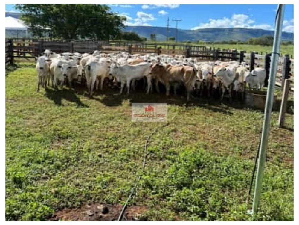 Fazenda à venda, 5800m² - Foto 2