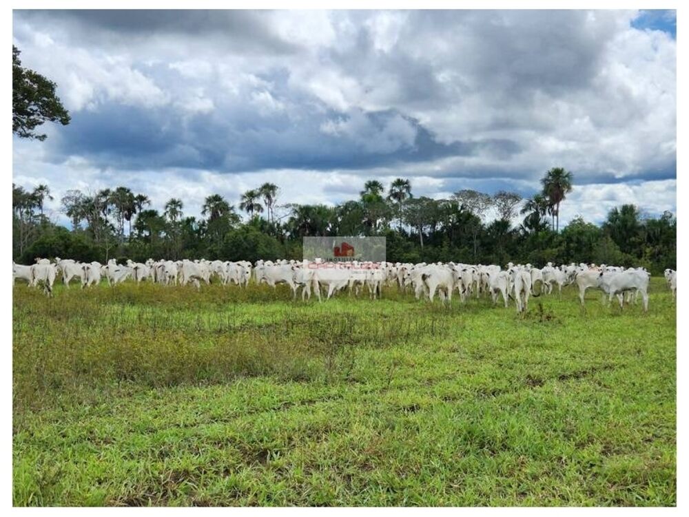 Fazenda à venda, 5800m² - Foto 3
