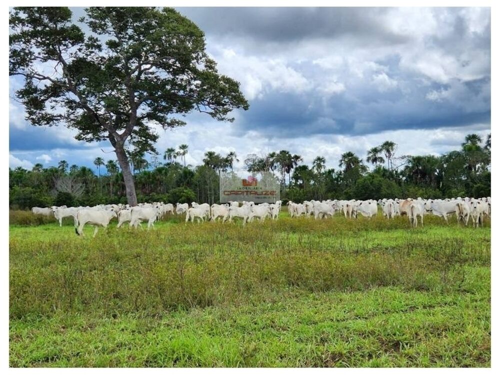 Fazenda à venda, 5800m² - Foto 1