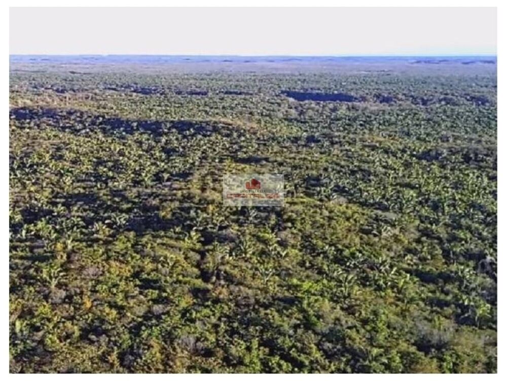 Fazenda, 1280 m² - Foto 1