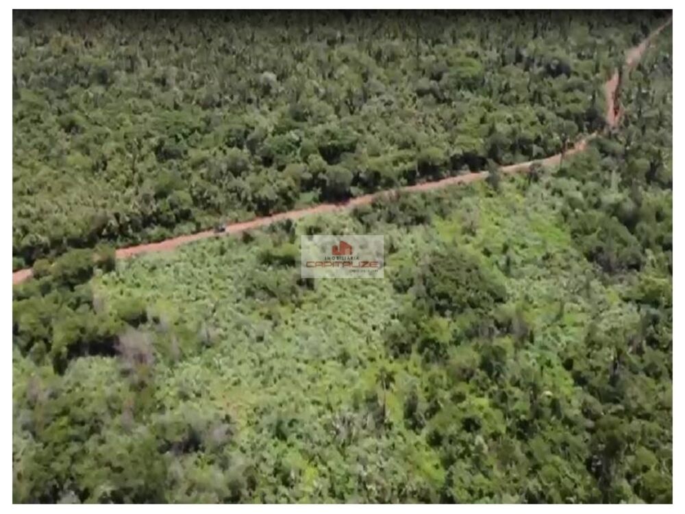 Fazenda-Sítio-Chácara, 233 m² - Foto 3