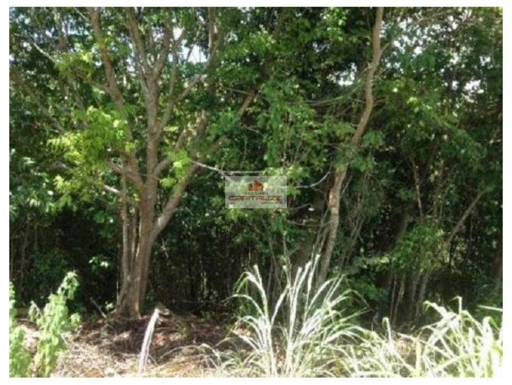 Fazenda à venda, 11600m² - Foto 1