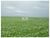 Fazenda-Sítio-Chácara, 6 hectares - Foto 1