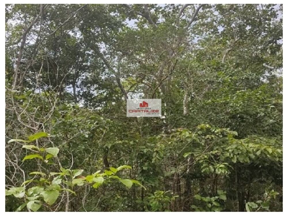 Fazenda à venda, 35000m² - Foto 1