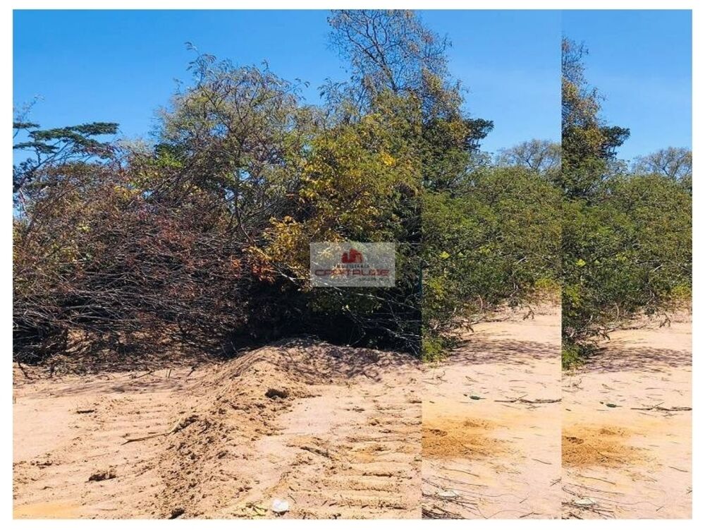 Fazenda à venda, 35000m² - Foto 2