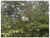 Fazenda, 4 hectares - Foto 1