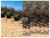 Fazenda, 4 hectares - Foto 3
