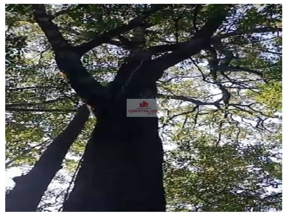 Fazenda à venda, 9000m² - Foto 3