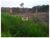 Fazenda-Sítio-Chácara, 2000 m² - Foto 1