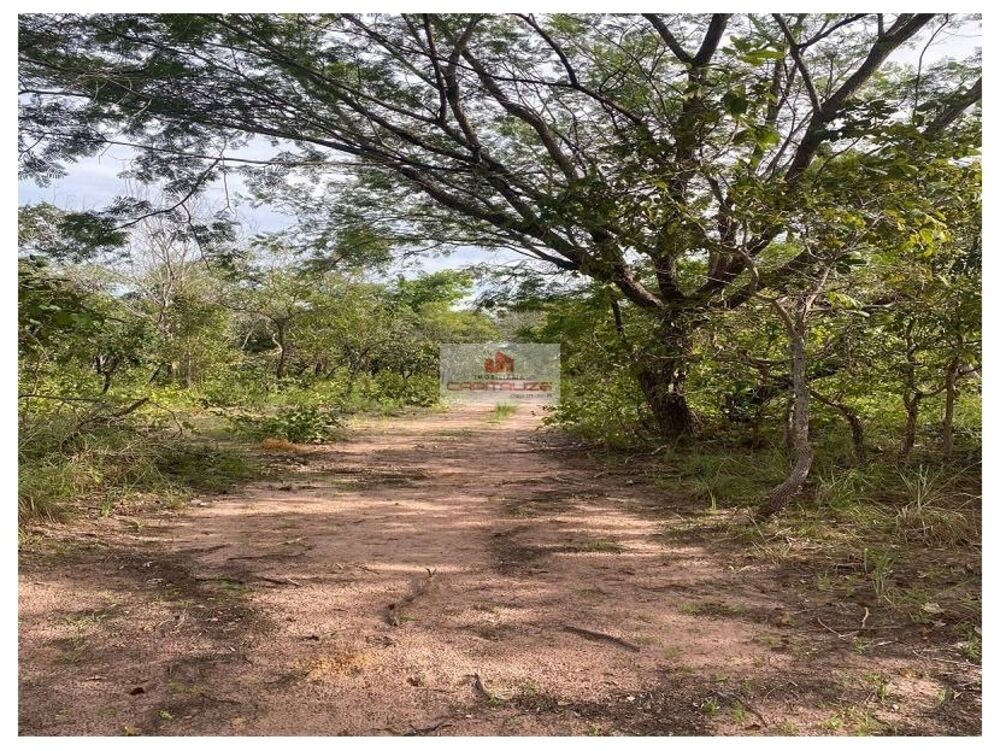 Fazenda, 3500 m² - Foto 2