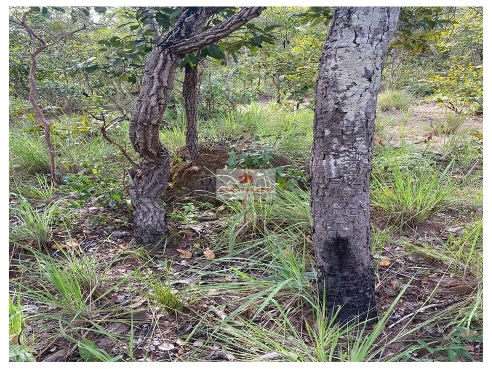 Fazenda, 3500 m² - Foto 3