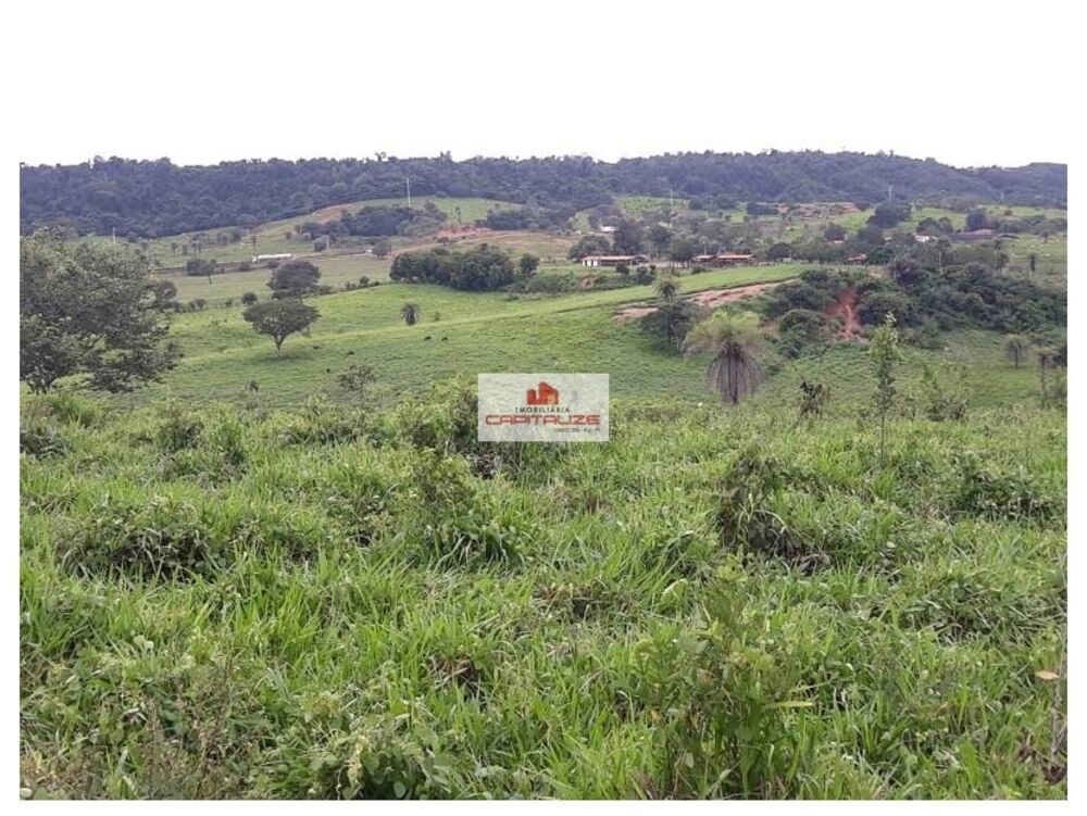Fazenda à venda, 782m² - Foto 1