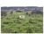 Fazenda, 782 m² - Foto 1