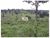 Fazenda, 782 m² - Foto 2