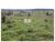 Fazenda, 782 m² - Foto 4