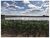 Fazenda-Sítio-Chácara, 2200 m² - Foto 3