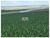 Fazenda-Sítio-Chácara, 2200 m² - Foto 1