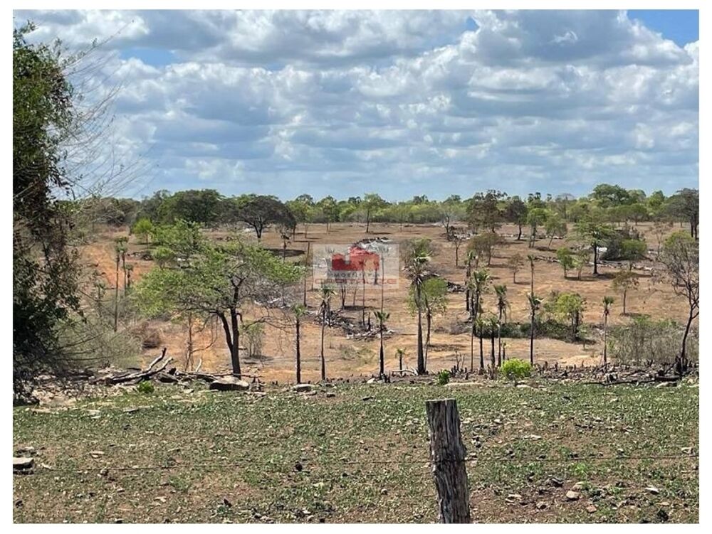 Fazenda, 8000 m² - Foto 4