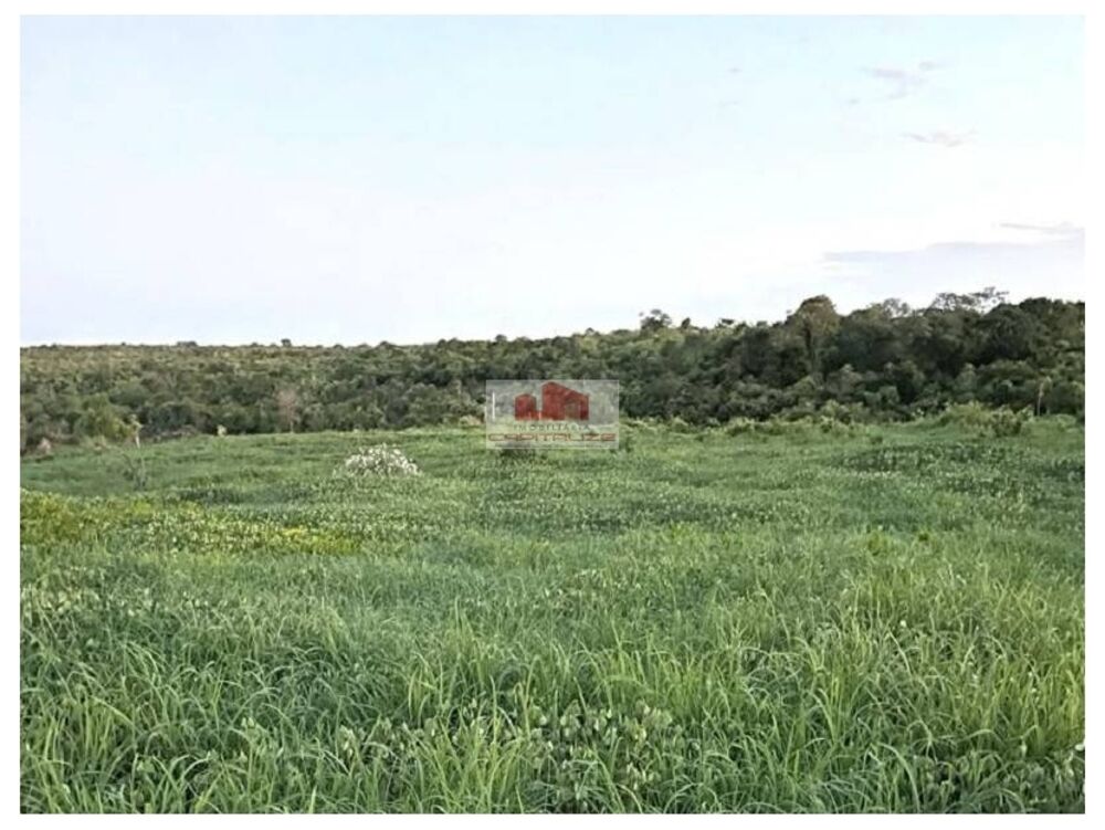 Fazenda, 8000 m² - Foto 2