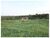 Fazenda, 8000 m² - Foto 2