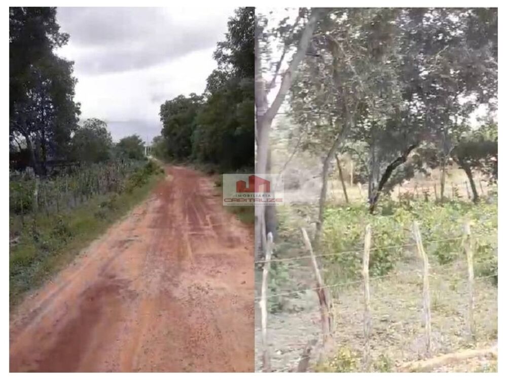 Fazenda à venda, 65m² - Foto 4