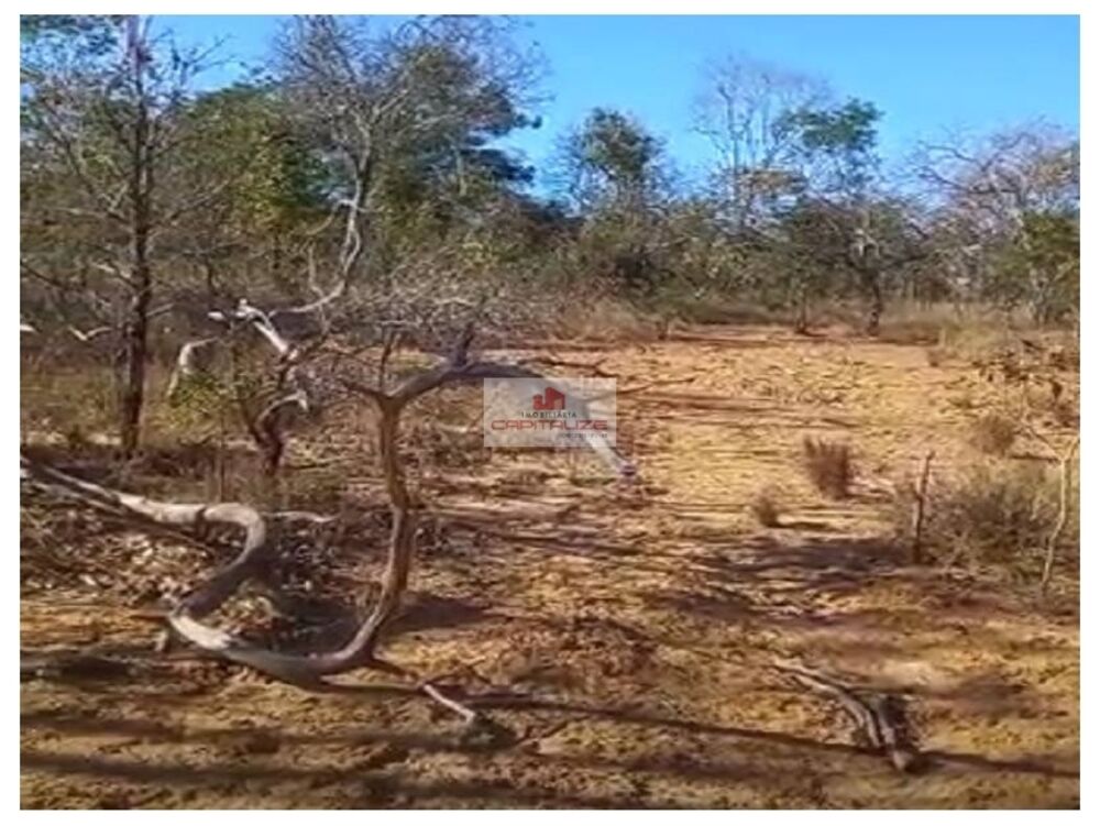 Fazenda, 10000 m² - Foto 3