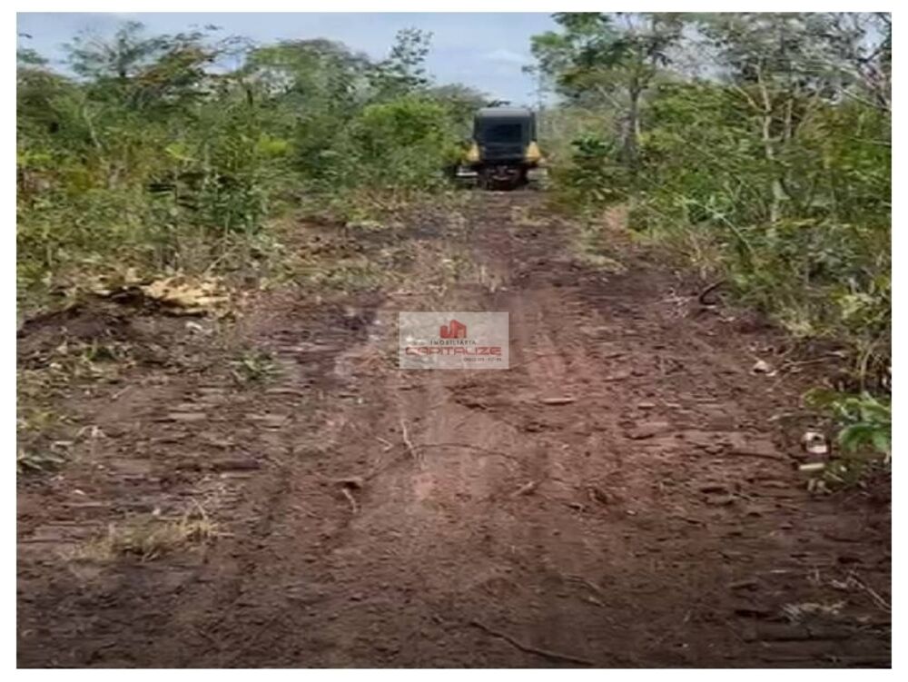 Fazenda, 10000 m² - Foto 1