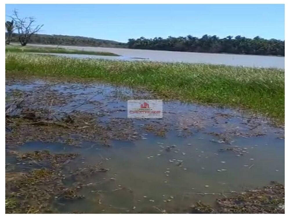 Fazenda, 10000 m² - Foto 2