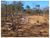 Fazenda, 10000 m² - Foto 3