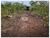 Fazenda, 10000 m² - Foto 1
