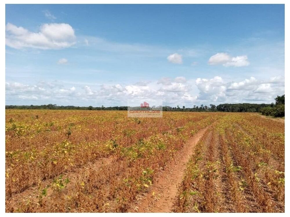 Fazenda à venda, 2256m² - Foto 10